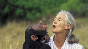 objectif-nature-action-nature-jane-goodall objectif-nature-action-nature-jane-goodall