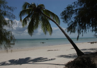Extension Zanzibar Extension Zanzibar