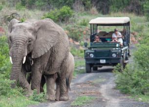 Paysages et safaris sud-africains en autotour Paysages et safaris sud-africains en autotour
