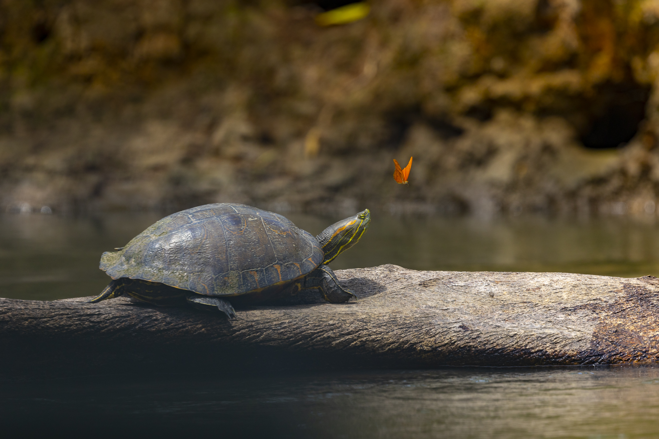 voyage sur mesure Costa Rica