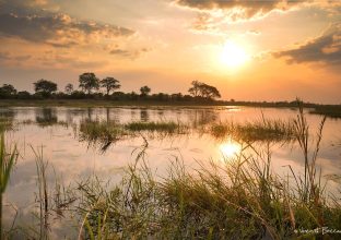 Combiné Namibie – Botswana – Zimbabwe : de Windhoek aux Chutes Victoria