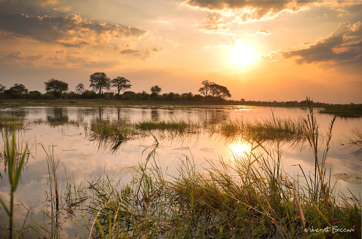 paysage sur la Kwando river - Combiné Namibie - Botswana - Zimbabwe.