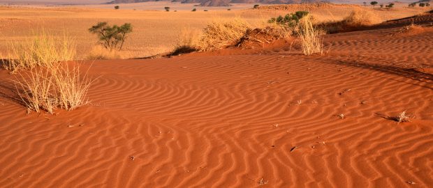 Récit de voyage…Namibie Le Grand Sud Focus sur le Tok Tokkie Trail