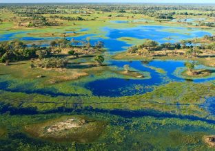 Botswana & Chutes Victoria : immersion dans la vie sauvage