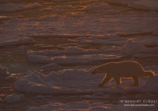 SVALBARD : symphonie des lumières d&rsquo;automne