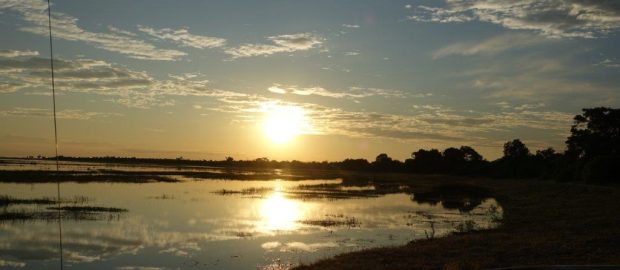 Récit de voyage…Botswana safari authentique avec Alexis…Anne-Laure…Avril 2025