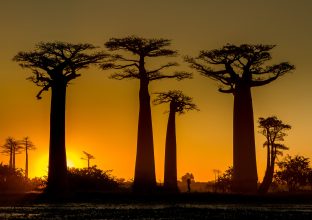 Madagascar, au coeur de l&rsquo;ïle rouge