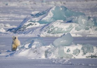 SVALBARD : Lumières d&rsquo;hiver